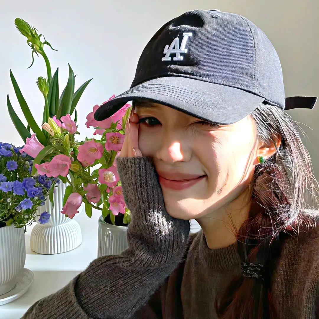 梅花档案